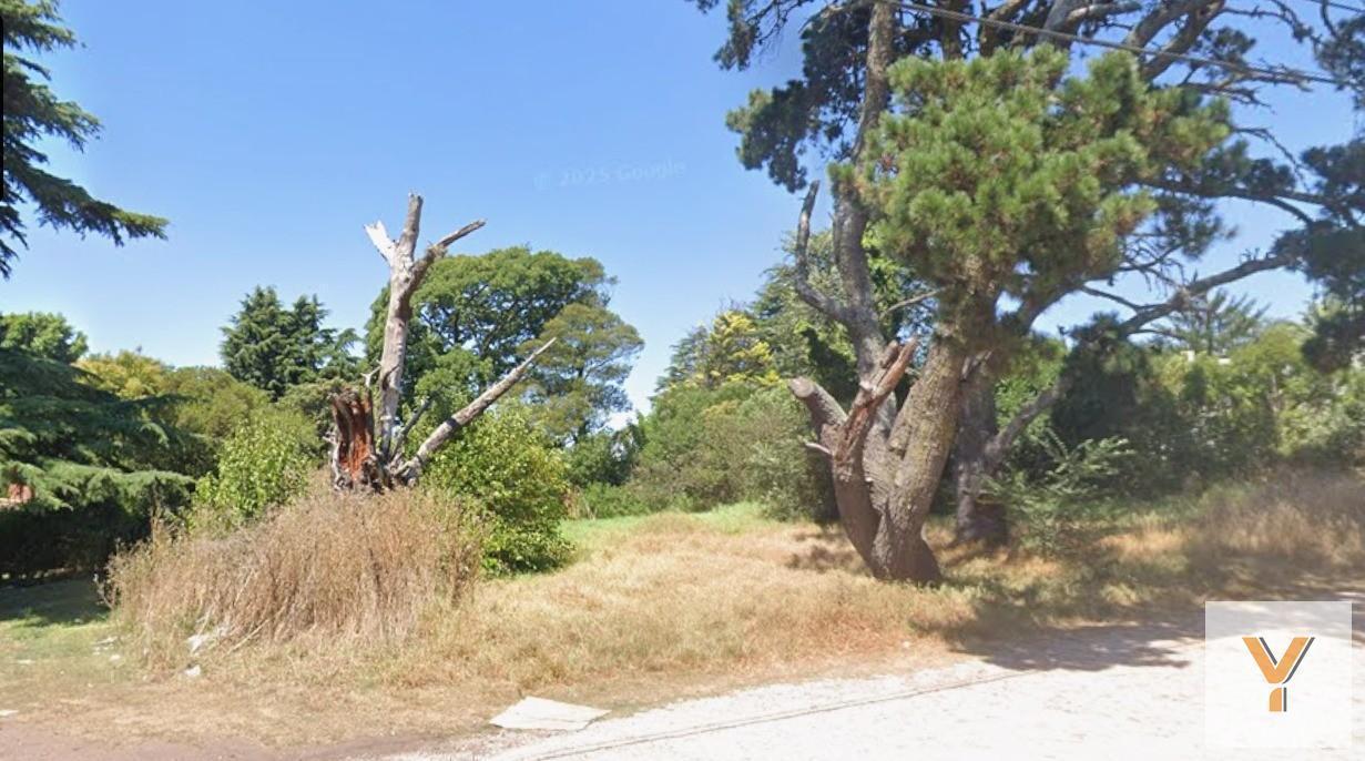 Foto de Terreno en venta - 663Mts2 - Sierra de los Padres, imagen 2