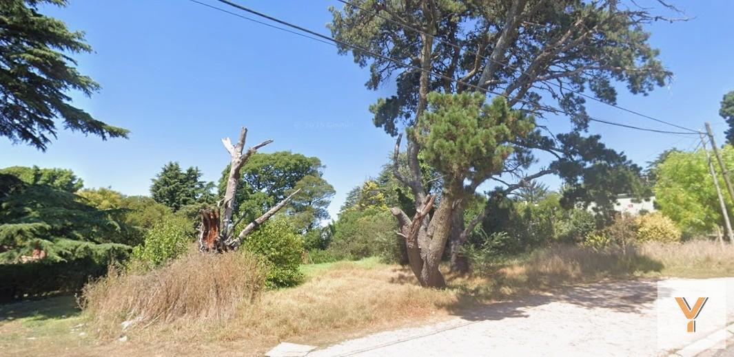 Foto de Terreno en venta - 663Mts2 - Sierra de los Padres, imagen 5