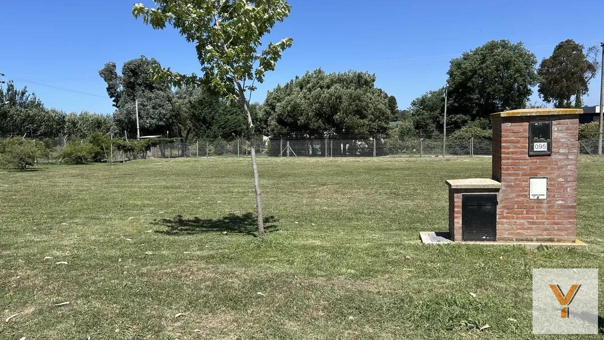 Foto de Terreno en venta - 700Mts2 - Mar del Plata, imagen 5