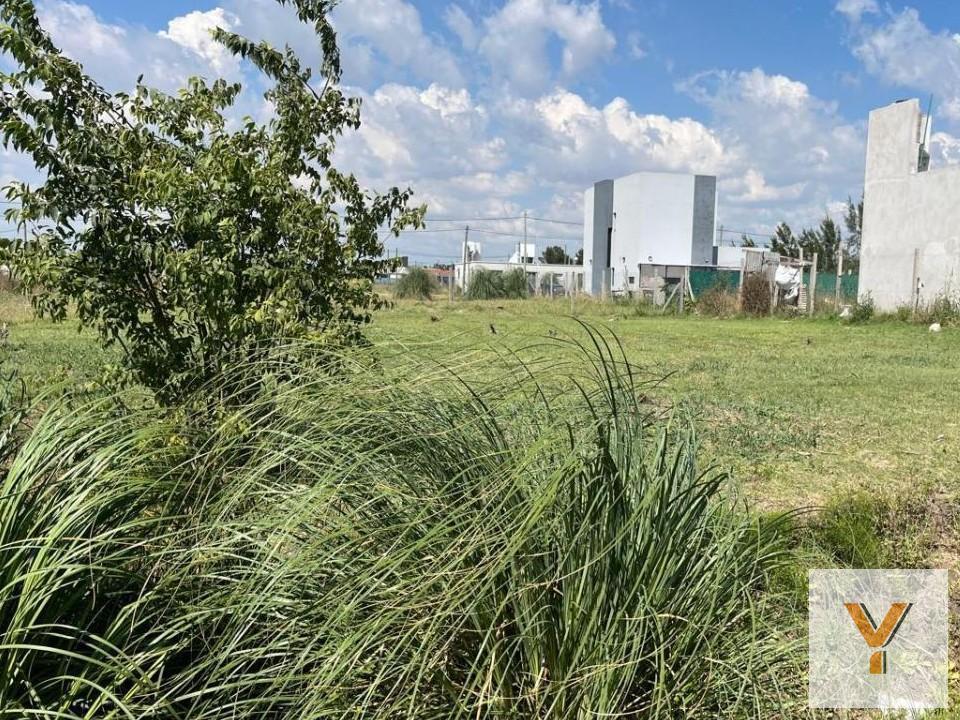 Foto de Terreno en venta - 600mts2 - Arana, La Plata, imagen 4