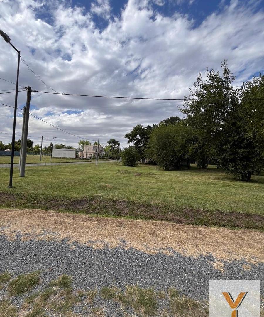 Foto de Terreno en venta - 566Mts2 - La Plata, imagen 3