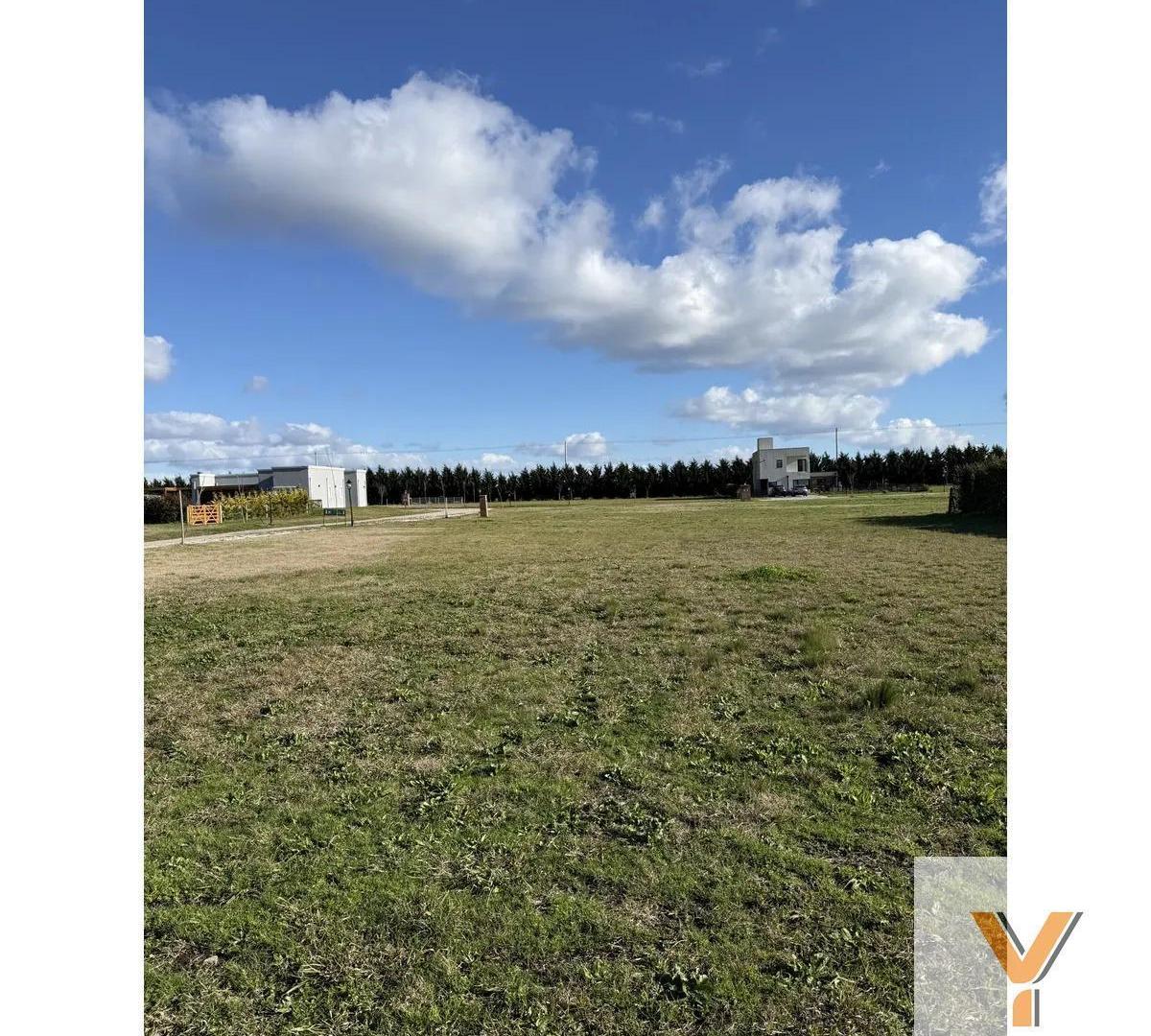 Foto de Terreno en Venta - - 900mts - Santa Clara Del Mar, imagen 5