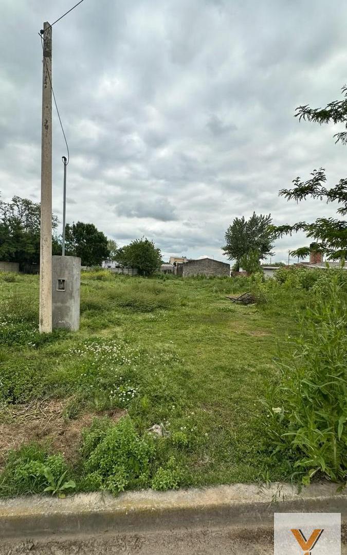 Foto de Terreno en Venta - - 422mts - Dolores, imagen 4