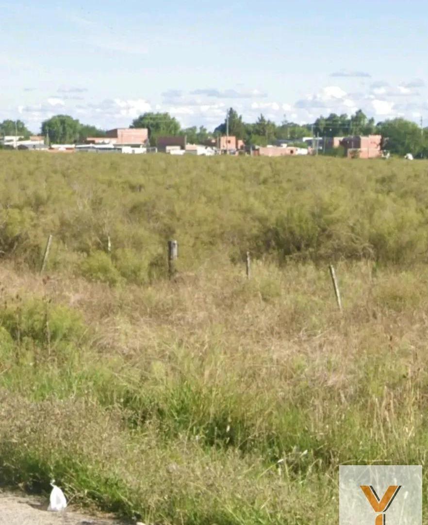 Foto de Terreno en venta - 8,5 hectáreas - Villa Elvira, La Plata, imagen 1