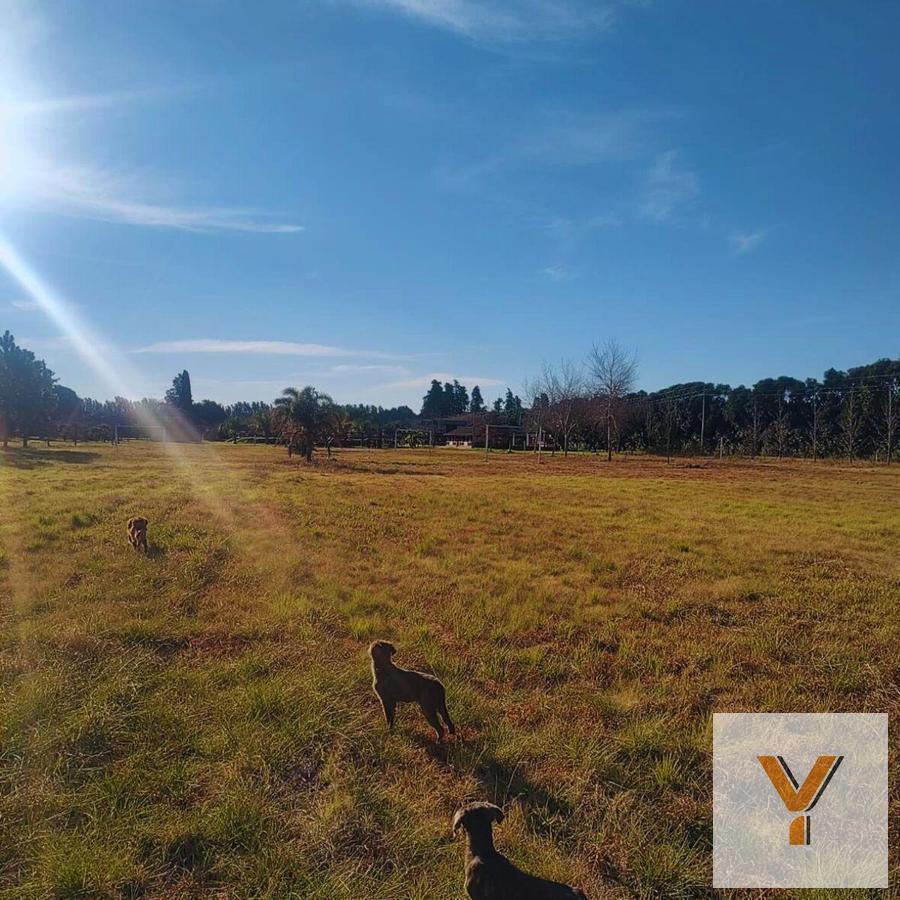 Foto de Quinta en venta - 6000mts2 - San Pedro, imagen 3