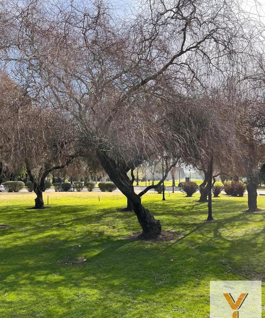Foto de Terreno en venta - 1.399mts2 - Haras Del Sur II, imagen 3