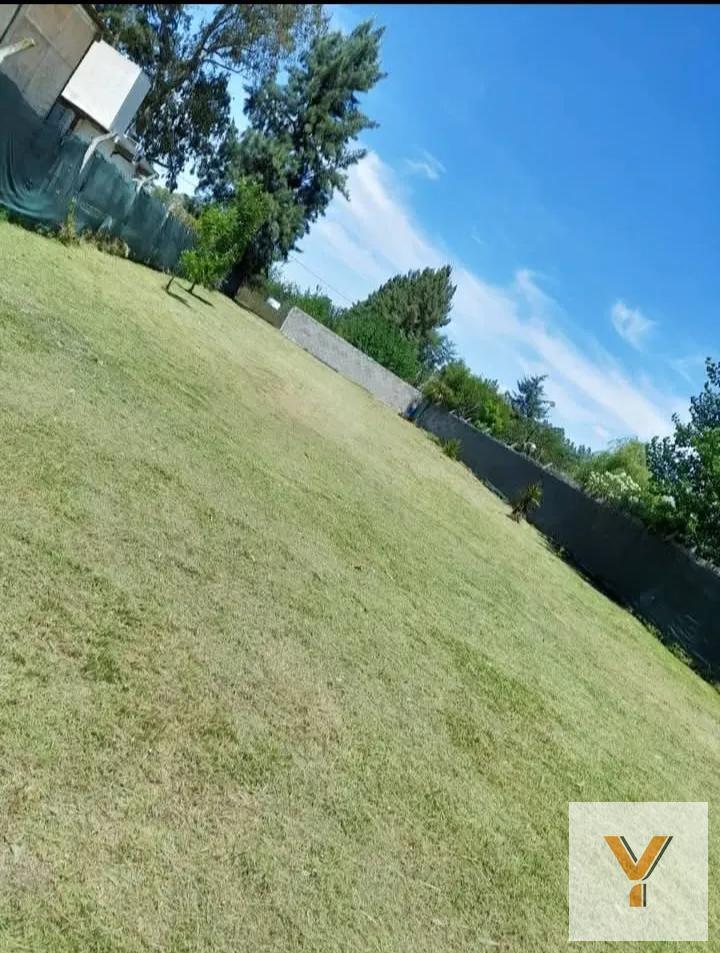 Foto de Terreno en venta - 780Mts2 - Lisandro Olmos, imagen 5