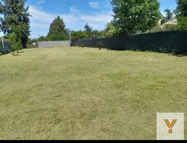 Foto de Terreno en venta - 780Mts2 - Lisandro Olmos, imagen 1