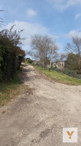 Foto de Terreno en venta - 600mts2 - Sierra de los Padres, imagen 5
