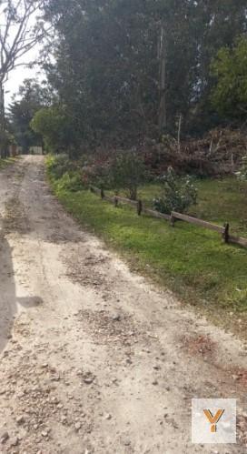 Foto de Terreno en venta - 600mts2 - Sierra de los Padres, imagen 3