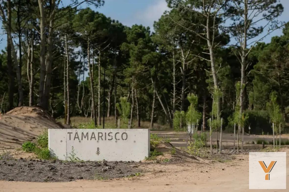Foto de Terreno en venta - 1.239,53mts2 - Pinamar, imagen 2