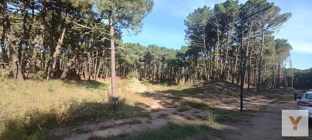 Foto de Terreno en venta - 1.098mts2 - Pinamar, imagen 2
