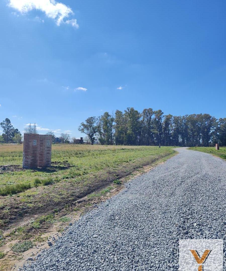 Foto de Terreno en venta - 1.500Mts2 - Exaltación de la Cruz, imagen 3