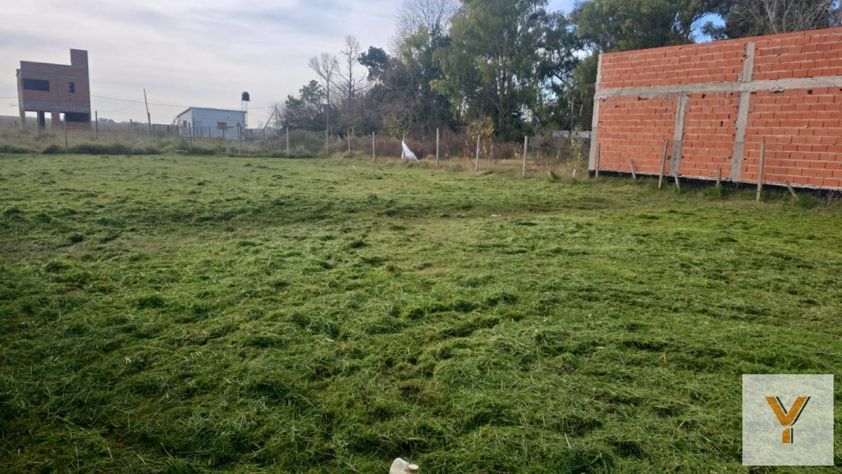 Foto de Terreno en venta - 600mts2 - Villa Parque Sicardi, imagen 1