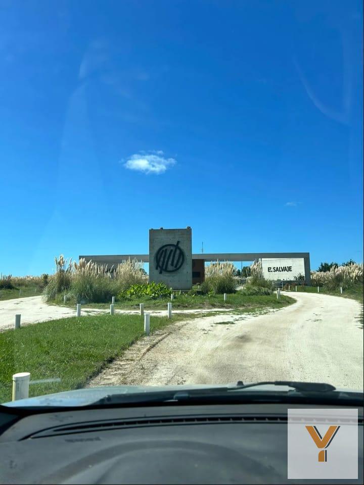 Foto de Terreno en venta - 2500mts2 - Villa Gesell, imagen 4
