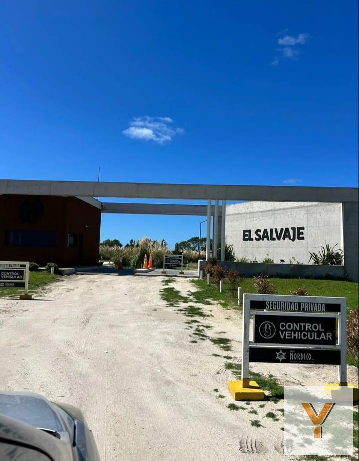 Foto de Terreno en venta - 2500mts2 - Villa Gesell, imagen 1