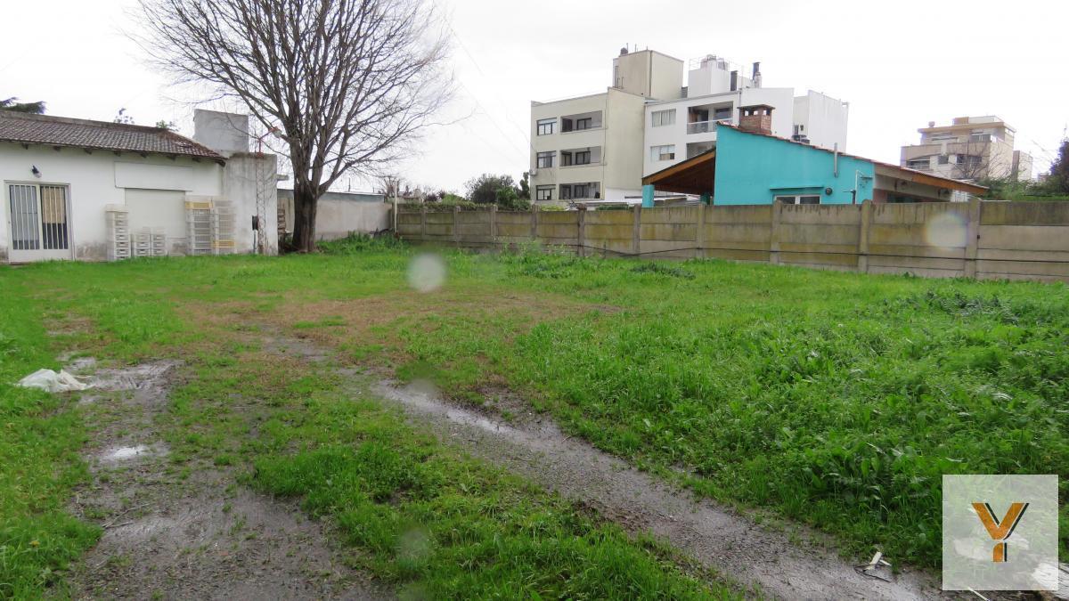 Foto de Depósito en venta - 311mts2 - La Plata, imagen 5