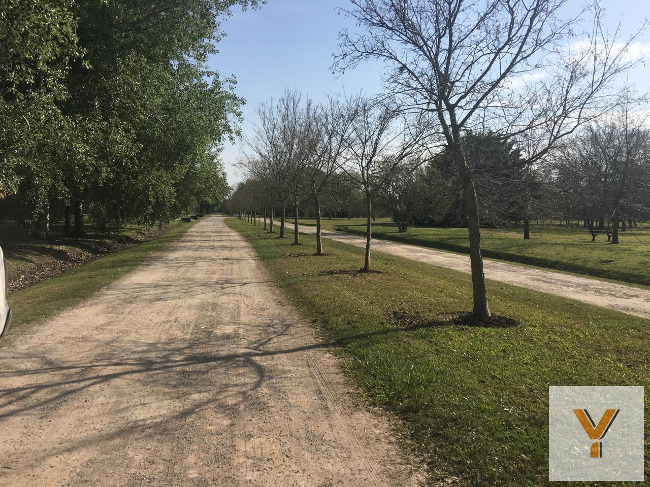 Foto de Terreno en venta - 5.000 mts2- Campos de Roca, imagen 2