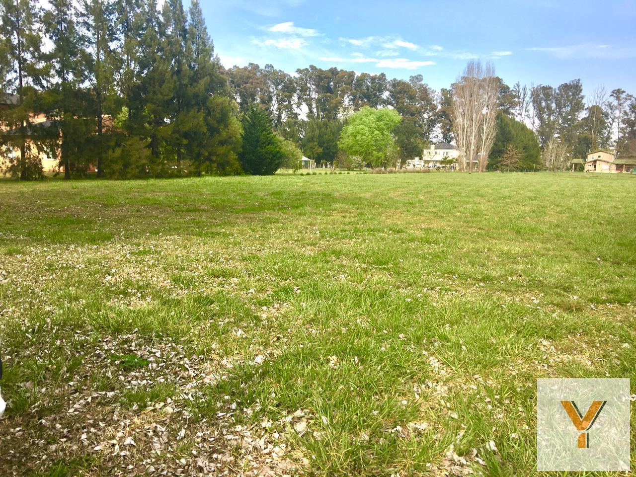 Foto de Terreno en venta - 5.000 mts2- Campos de Roca, imagen 5