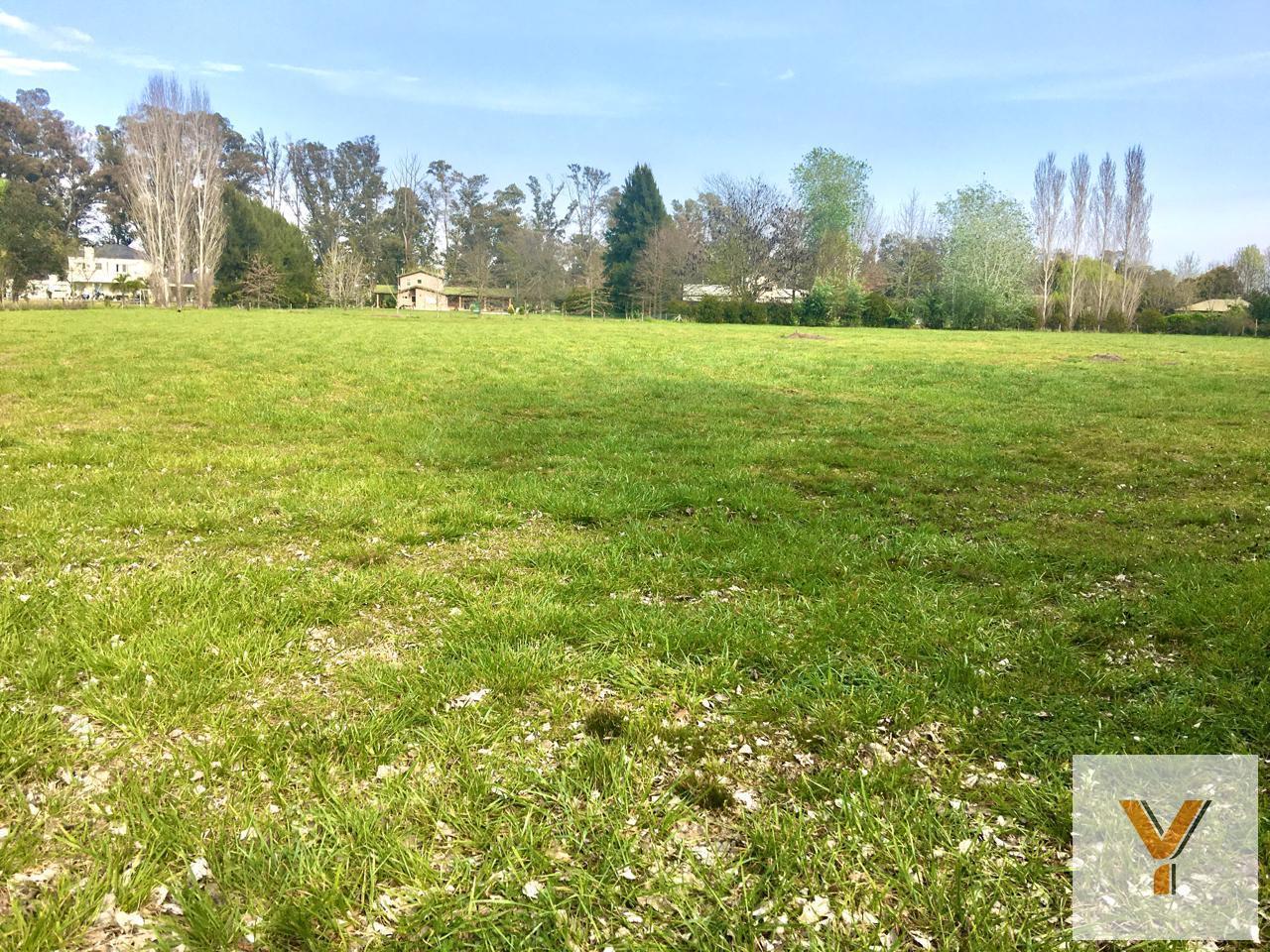 Foto de Terreno en venta - 5.000 mts2- Campos de Roca, imagen 3