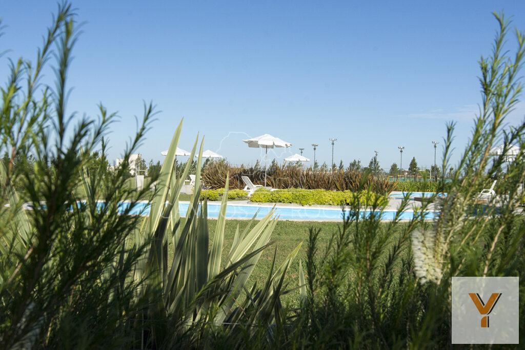 Foto de Terreno en venta - 5.000 mts2- Campos de Roca, imagen 1