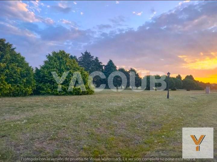 Foto de Terreno en venta - 1.315Mts2 - Tandil, imagen 3