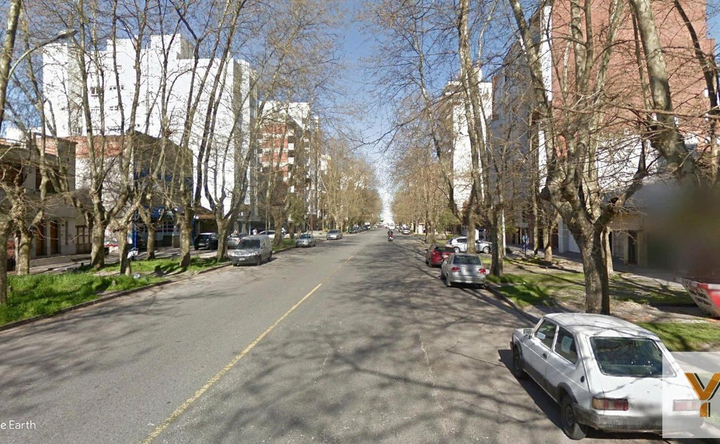Foto de Local Comercial en venta - 1 Baño - Mar del Plata, imagen 4