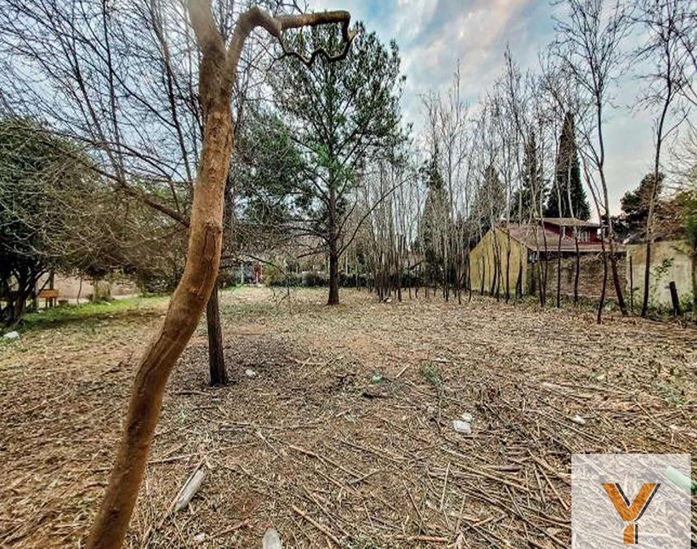 Foto de Terreno en venta - 1.170Mts2 - Pilar, imagen 3