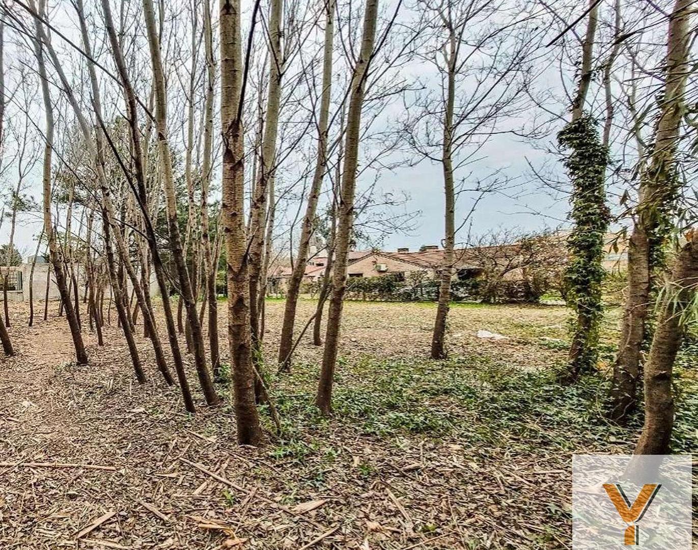 Foto de Terreno en venta - 1.170Mts2 - Pilar, imagen 4