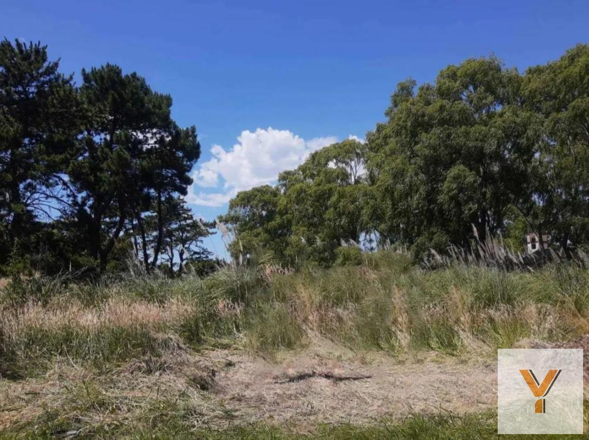 Foto de Terreno en venta - 479mts2 - Costa Del Este, imagen 1