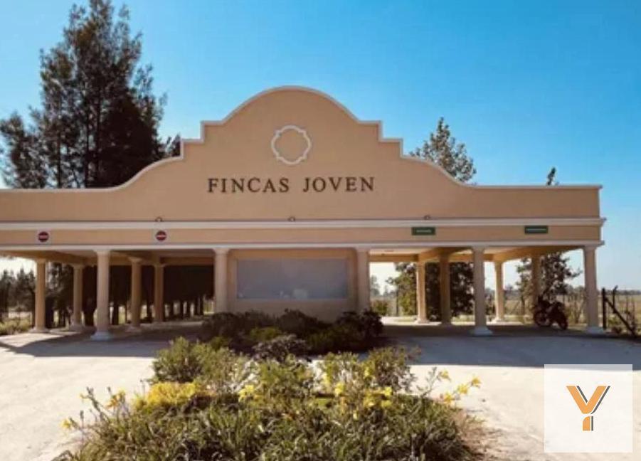 Foto de Terreno en venta - 620Mts2 - Finca Joven, imagen 2