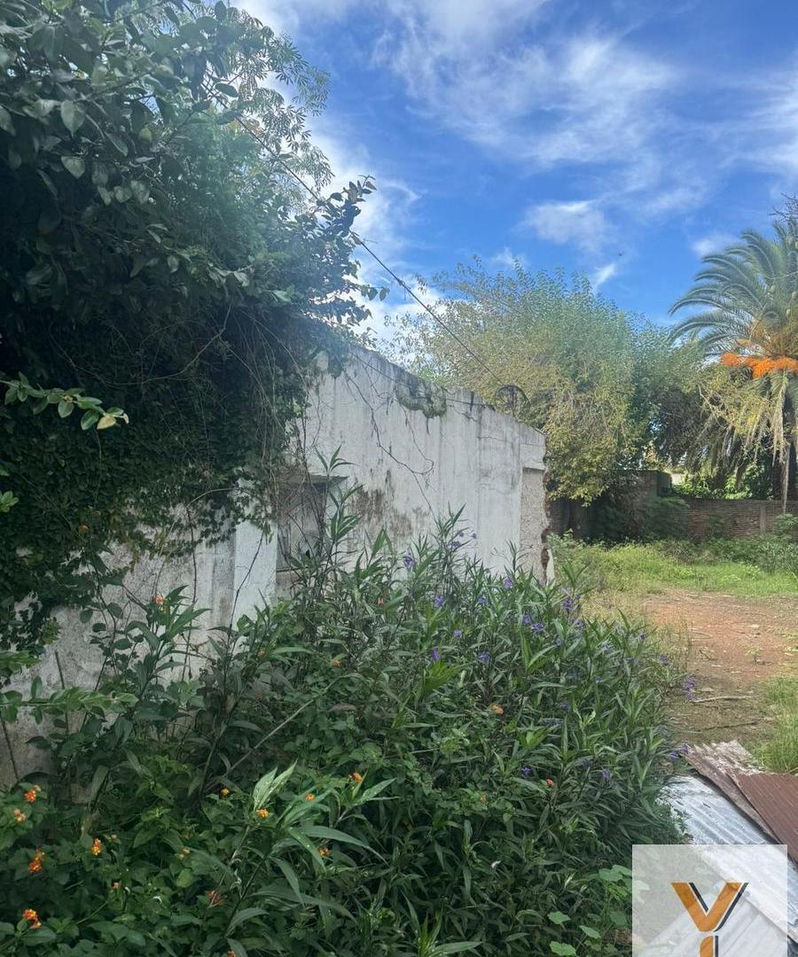 Foto de Terreno en venta - 300Mts2 - La Plata, imagen 5