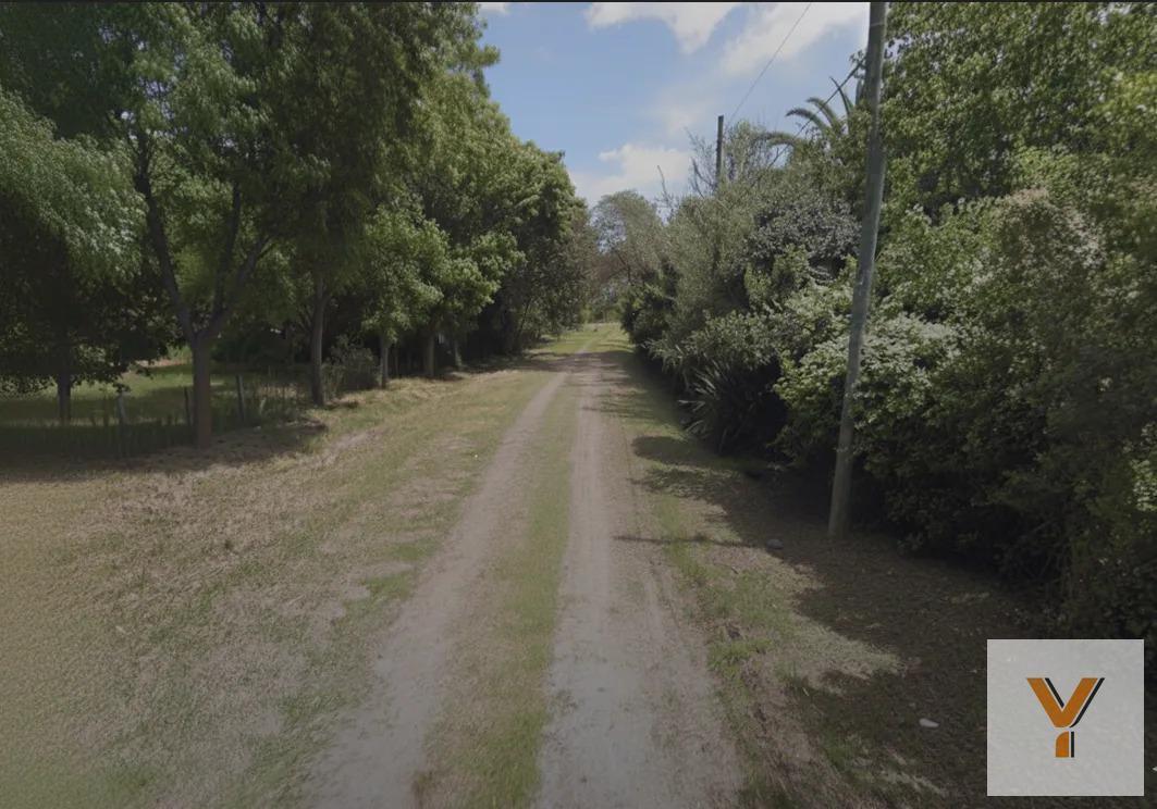 Foto de Terreno en venta - 1.383mts2 - Villa Elisa, imagen 1