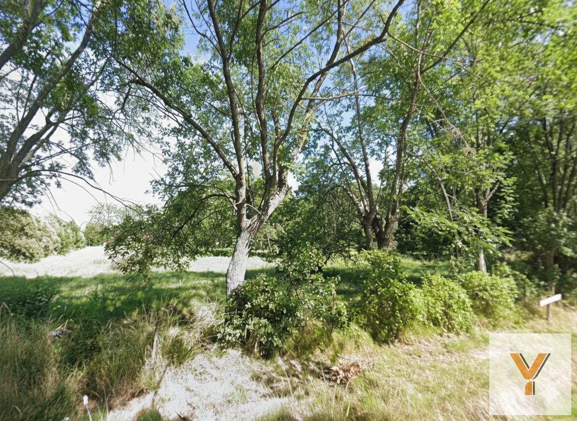 Foto de Terreno en venta - 1.383mts2 - Villa Elisa, imagen 2
