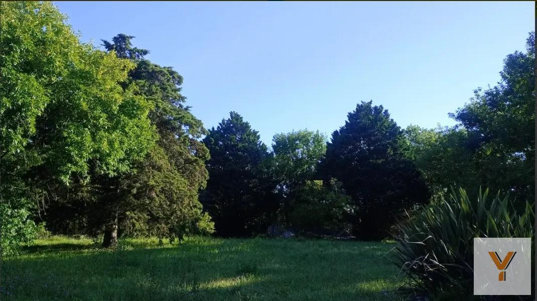 Foto de Terreno en venta - 1.383mts2 - Villa Elisa, imagen 3