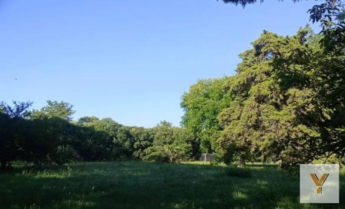 Foto de Terreno en venta - 1.383mts2 - Villa Elisa, imagen 4