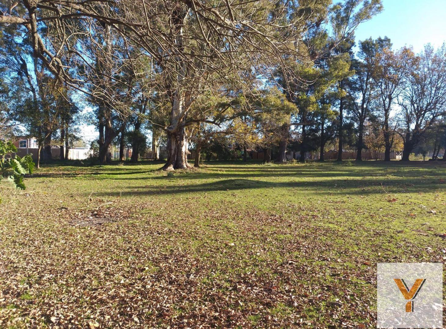 Foto de Quinta en venta - 4.500mts2 - Ezeiza, imagen 4