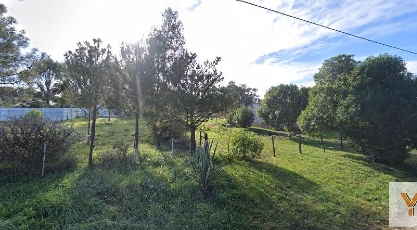 Foto de Terreno en venta - 619Mts2 - Mar del Plata, imagen 5