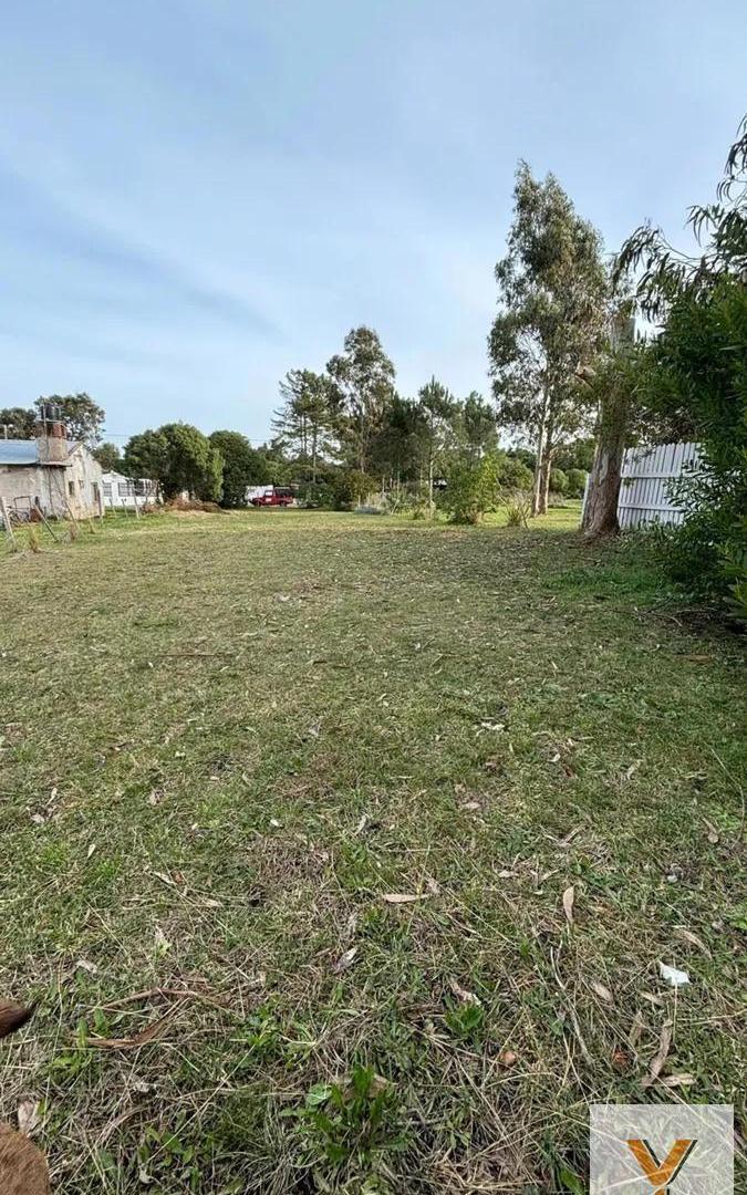 Foto de Terreno en venta - 619Mts2 - Mar del Plata, imagen 2