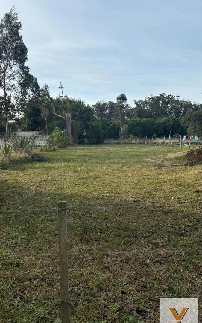 Foto de Terreno en venta - 619Mts2 - Mar del Plata, imagen 4