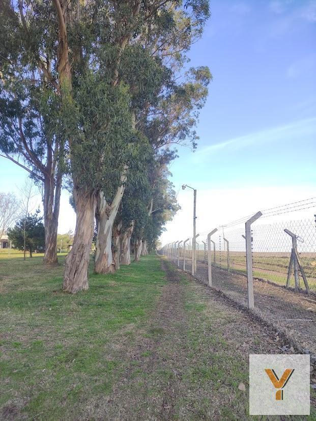Foto de Terreno en venta - 890Mts2 - Mar del Plata, imagen 3
