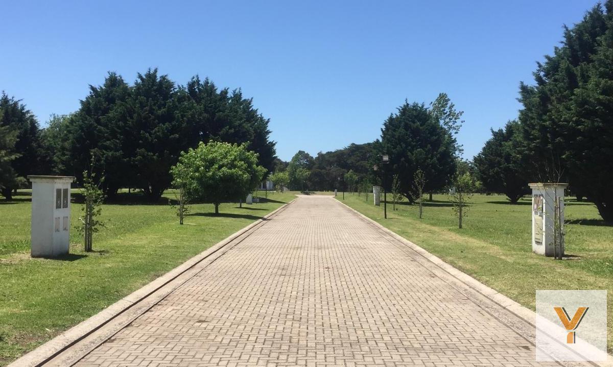 Foto de Terreno en venta - 890Mts2 - Mar del Plata, imagen 4