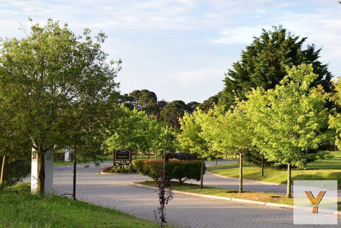 Foto de Terreno en venta - 890Mts2 - Mar del Plata, imagen 5