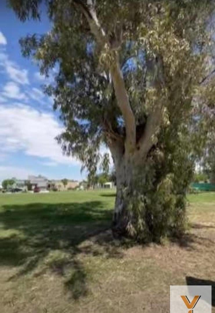 Foto de Terreno en venta - 515Mts2 - Santo Tomas, Pilar del Este, imagen 5