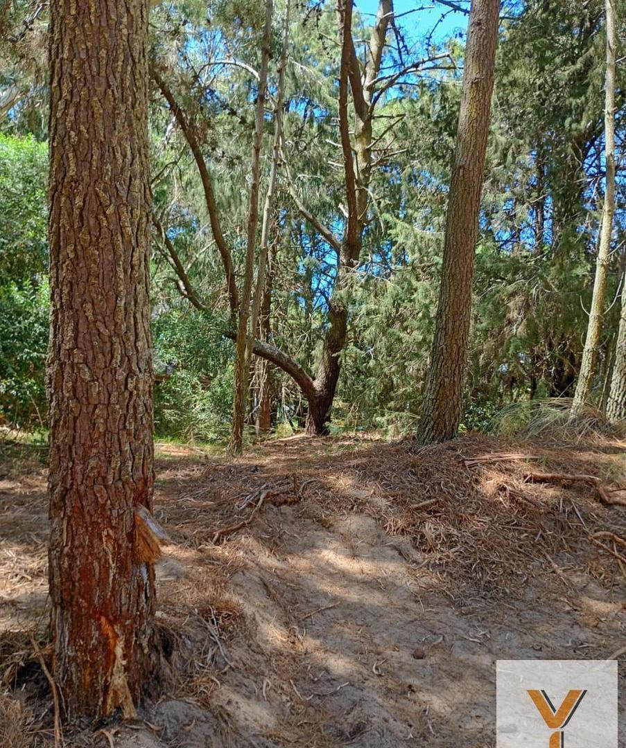 Foto de Terreno en Venta - - 1298mts - Cariló, imagen 1