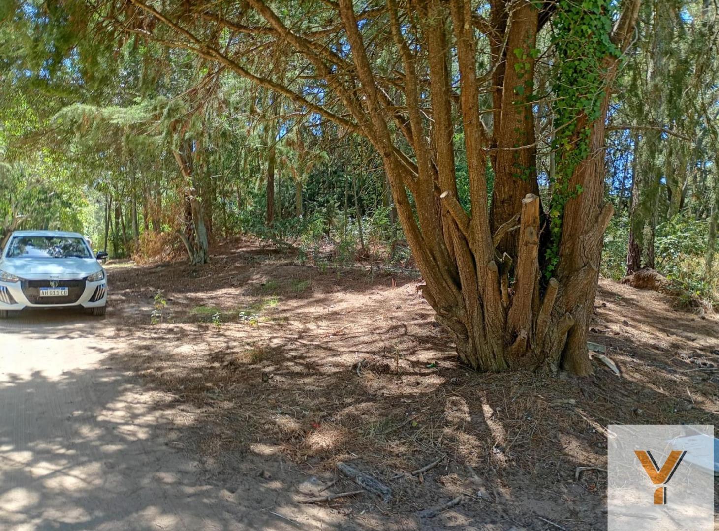 Foto de Terreno en Venta - - 1298mts - Cariló, imagen 2