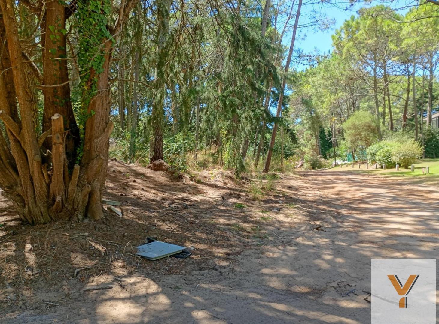 Foto de Terreno en Venta - - 1298mts - Cariló, imagen 4