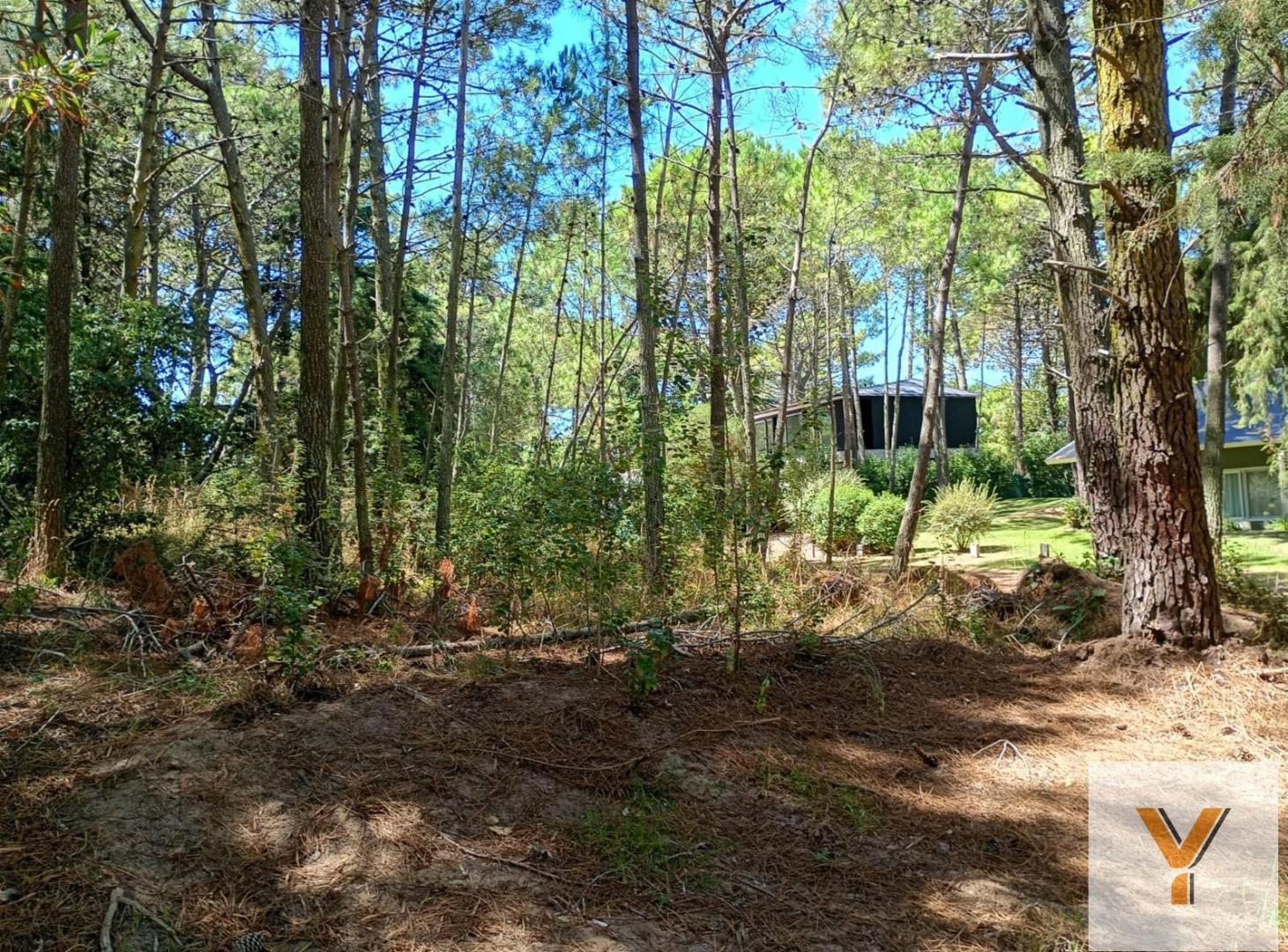 Foto de Terreno en Venta - - 1298mts - Cariló, imagen 5