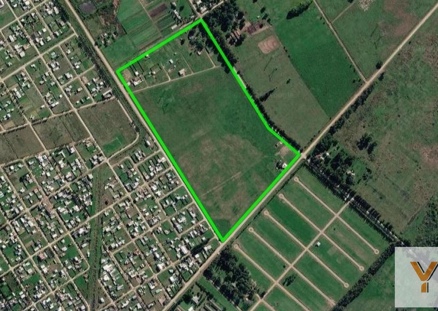 Foto de Campo en Venta - - 203000mts - Cañuelas, imagen 5