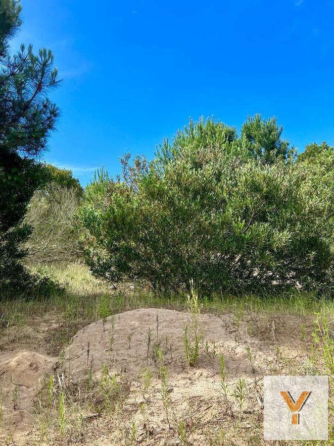 Foto de Terreno en venta - 983.46 mts2 - Costa Esmeralda, imagen 1